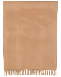 Max Mara - Scarves - Lyst