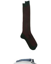 ANT45 - Menfi Long Ribbed-Knit Knee-High Socks - Lyst