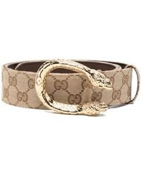 Gucci - Neutrals Belts - Lyst