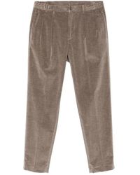 Tagliatore - Straight Trousers - Lyst