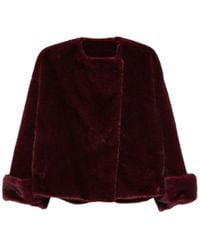 Antonelli - Faux-Fur Wide-Collar Jacket - Lyst