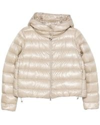 Herno - Neutrals Jackets - Lyst
