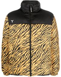 YES I AM - Tiger-Print Reversible Padded Jacket - Lyst