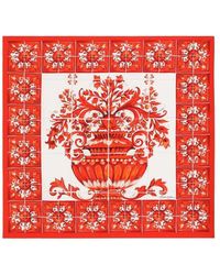 Dolce & Gabbana - Dolce & Gabbana Scarves - Lyst