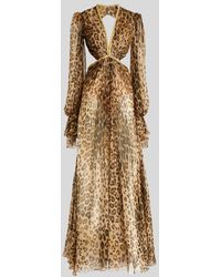 Etro Animalier Silk Chiffon Dress - Metallic