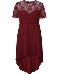 coast evan lace jersey dress