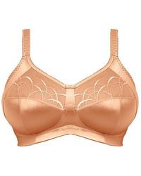 evans sports bra