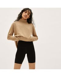 everlane turtleneck dress