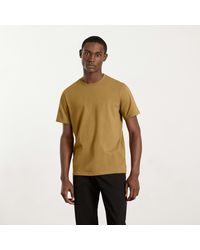 Men's Everlane T-shirts from C$39