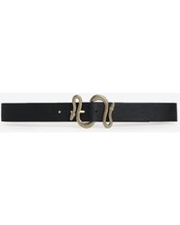 express womens belts