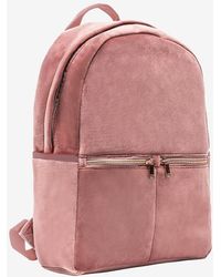 Express Mytagalongs Velour Backpack Pink