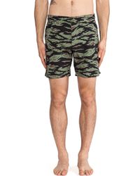 obey swim shorts