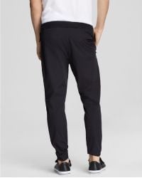 theory sweatpants