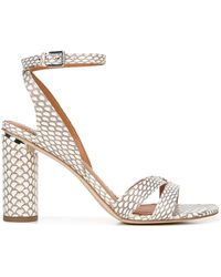 franco sarto harlet 3 sandal
