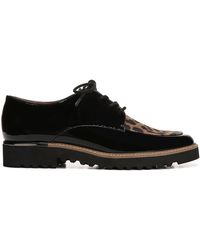 franco sarto century wingtip oxford