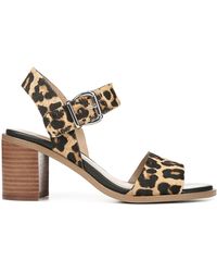 franco sarto amal