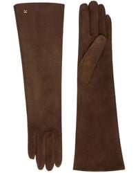Max Mara - "Afideesuede" Long Gloves - Lyst