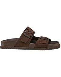 Geox - Parnaiba Buckle-Fastening Leather Sandals - Lyst