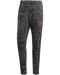adidas - Captain Tsubasa Tiro Track Pants - Lyst