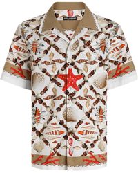 Dolce & Gabbana - Shell-Print Stretch Drill Hawaii Shirt - Lyst