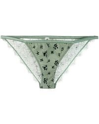 Love Stories - Floral Lace Briefs - Lyst