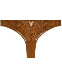 Aubade - Rules Of Attraction Embroidered Briefs - Lyst