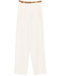 Max Mara - Adunco Pleated Pressed-Crease Trousers - Lyst