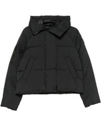Canada Goose - Piumino Chilliwack Con Cappuccio - Lyst