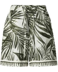 Bogner - Carmel Palm-Print Linen Shorts - Lyst