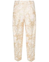 Peserico - Jacquard Cropped Trousers - Lyst