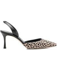 Manolo Blahnik - Escarpins Carolyne 70 Mm À Motif Léopard - Lyst