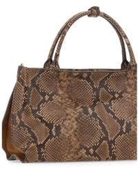 Gianni Chiarini - Amal Snake-Print Leather Tote Bag - Lyst