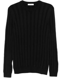 Diktat - Geribbelde Sweater Met Ronde Hals - Lyst