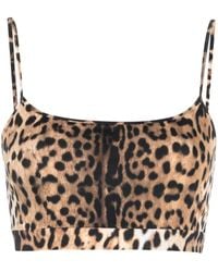 Roberto Cavalli - Leopard-Print Cropped Top - Lyst