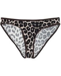 Baserange - Slip Con Stampa Leopardo - Lyst