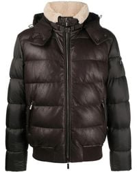 Moorer - Donsjack Met Vlakken - Lyst