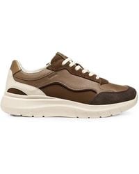 Geox - Panelled Leather Sneakers - Lyst
