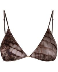 Elisabetta Franchi - Bra - Lyst