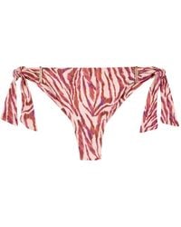 Aubade - Feline Energy Tiger-Print Bikini Bottoms - Lyst