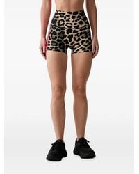 P.E Nation - Leopard-Print Side-Stripe Shorts - Lyst