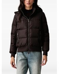 ARMANI EXCHANGE - Hooded Padded Jacket - Lyst