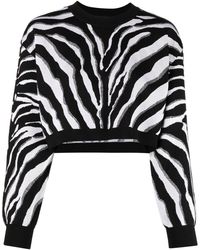 Dolce & Gabbana - Zebra-print Cropped Jumper - Lyst