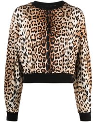 Roberto Cavalli - Leopard-print Cropped Sweatshirt - Lyst