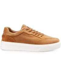 Barracuda - Phoenix Suede Sneakers - Lyst