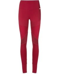 Amir Slama - Slama Gym + Manly Performance Leggings - Lyst