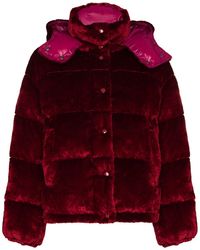 Moncler Fluwelen Donsjack - Rood