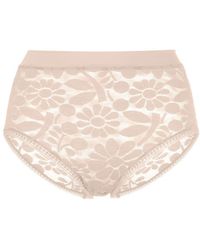 Eres - Floral-lace High-waisted Briefs - Lyst