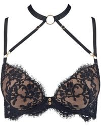 Aubade - Under Your Spell Lace-Embroidered Push-Up Bra - Lyst