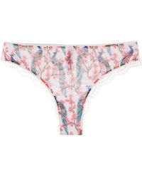 Dolci Follie - Peacock Print Brazilian Briefs - Lyst