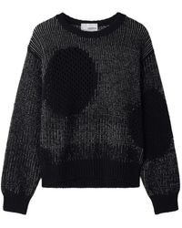 SAGE NATION - Weave Cropped Sweater - Lyst
